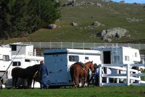 HORSE CAMPING AT SHELTER ROCK