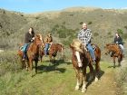 LINK TO HORSEBACK RIDING