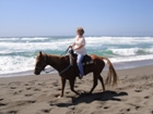 LINK TO CHANSLOR STABLES