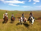 LINK TO CHANSLOR STABLES