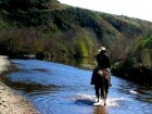 LINK TO CHANSLOR STABLES